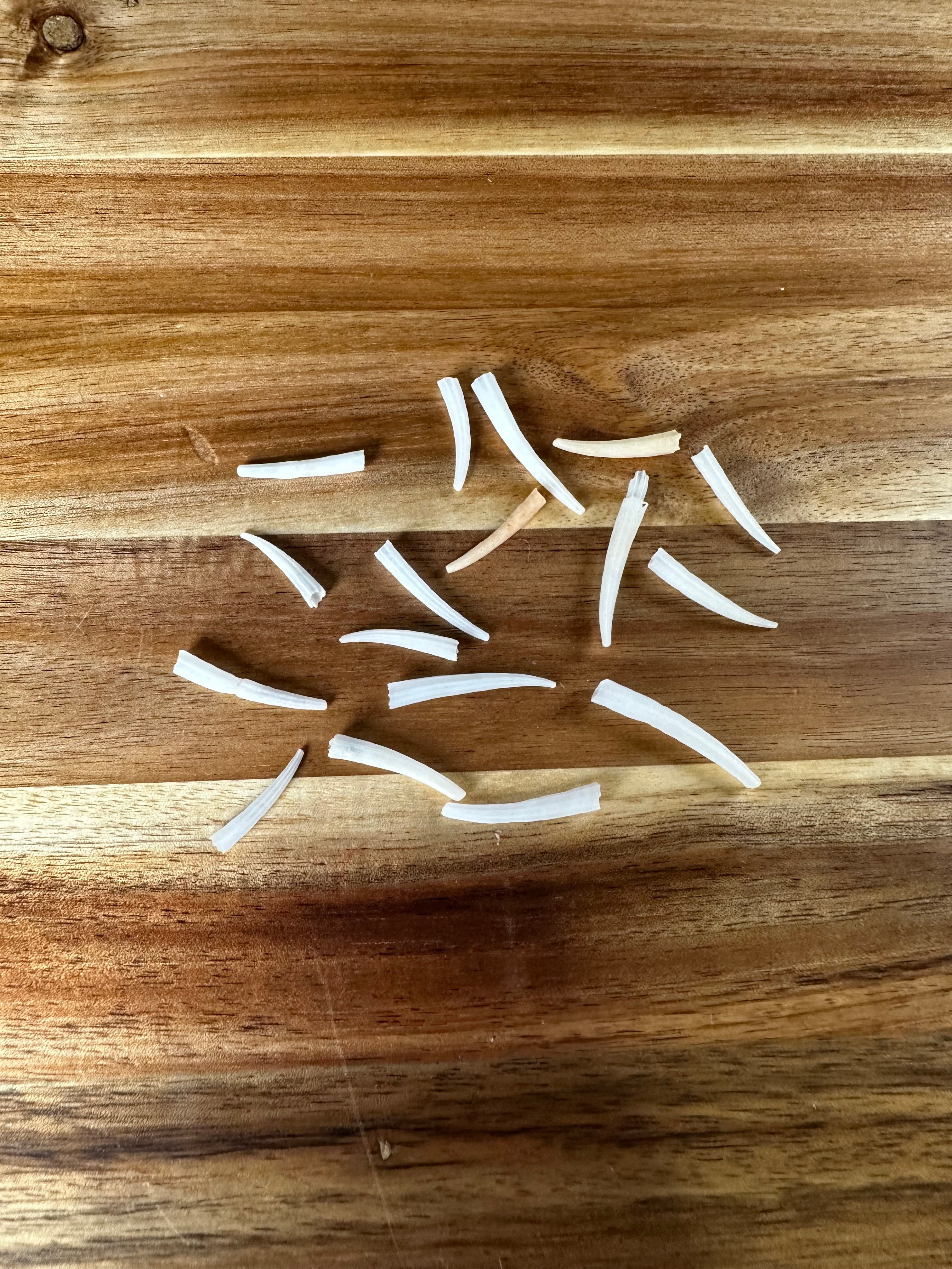 Mini Dentalium Smooth Clean 100G