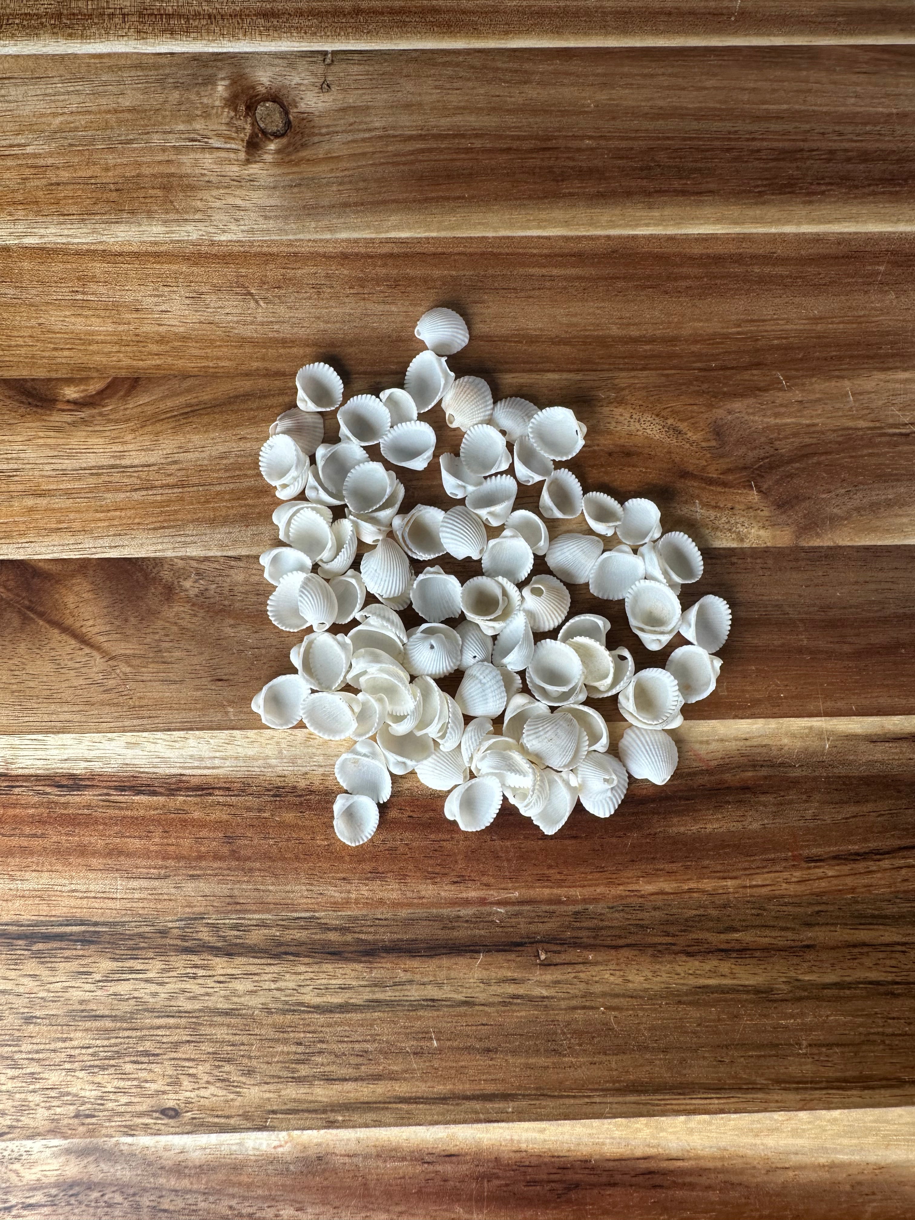 Mini White Clam Shells (1 Hole/100PC)