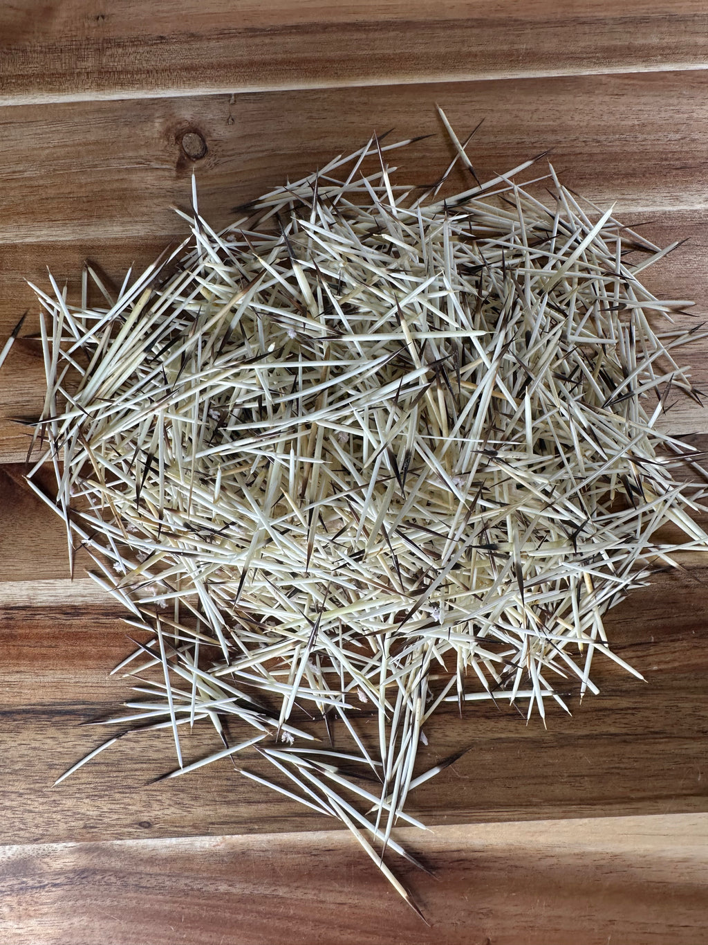 Porcupine Quills 1/2oz