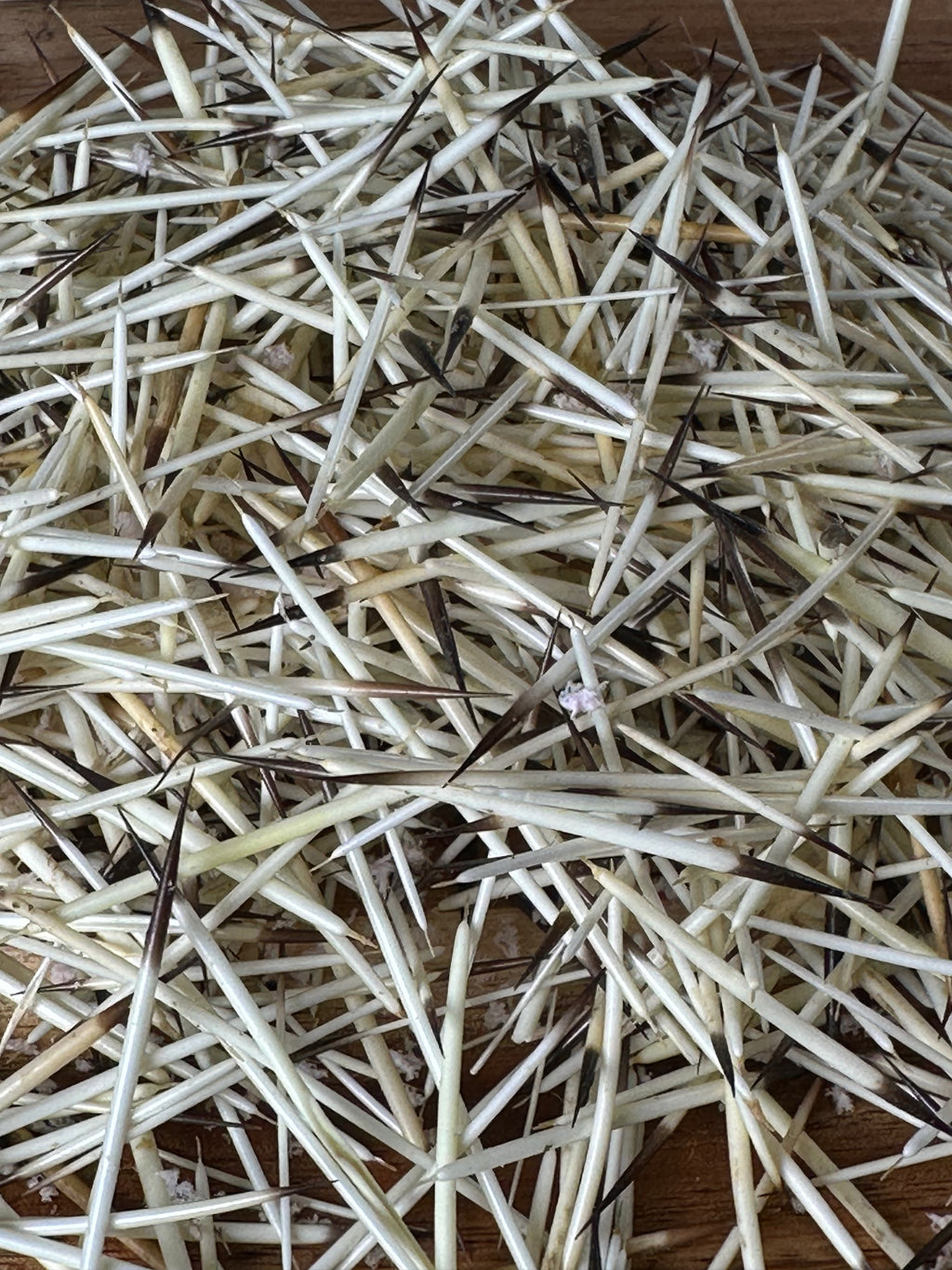 Porcupine Quills 1/2oz