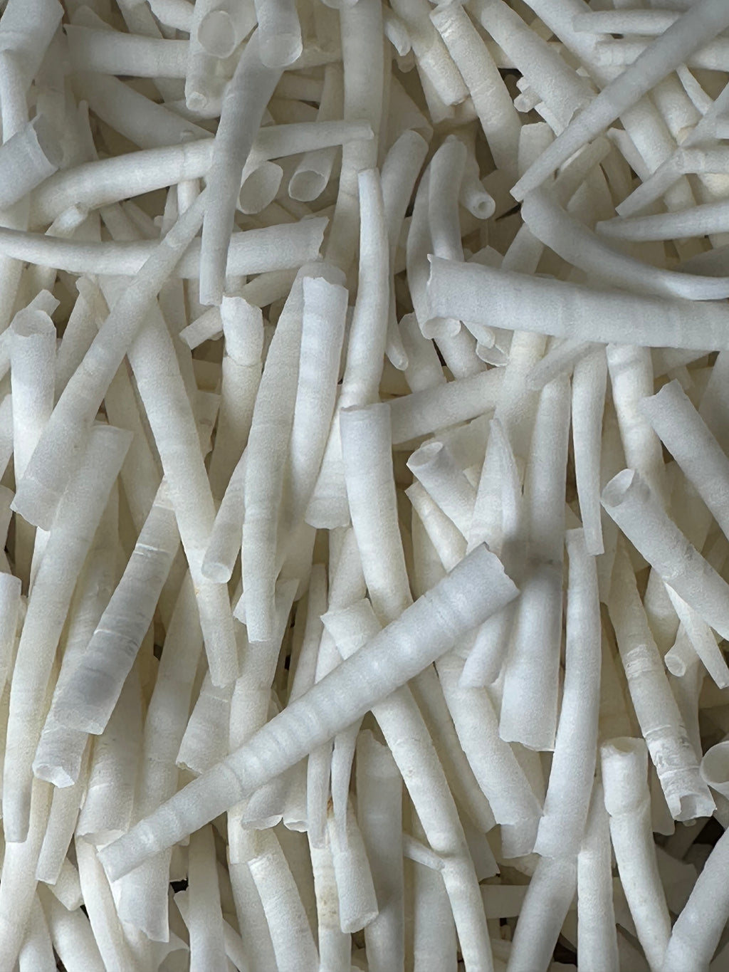 Dentalium Smooth Clean 1 Kilo