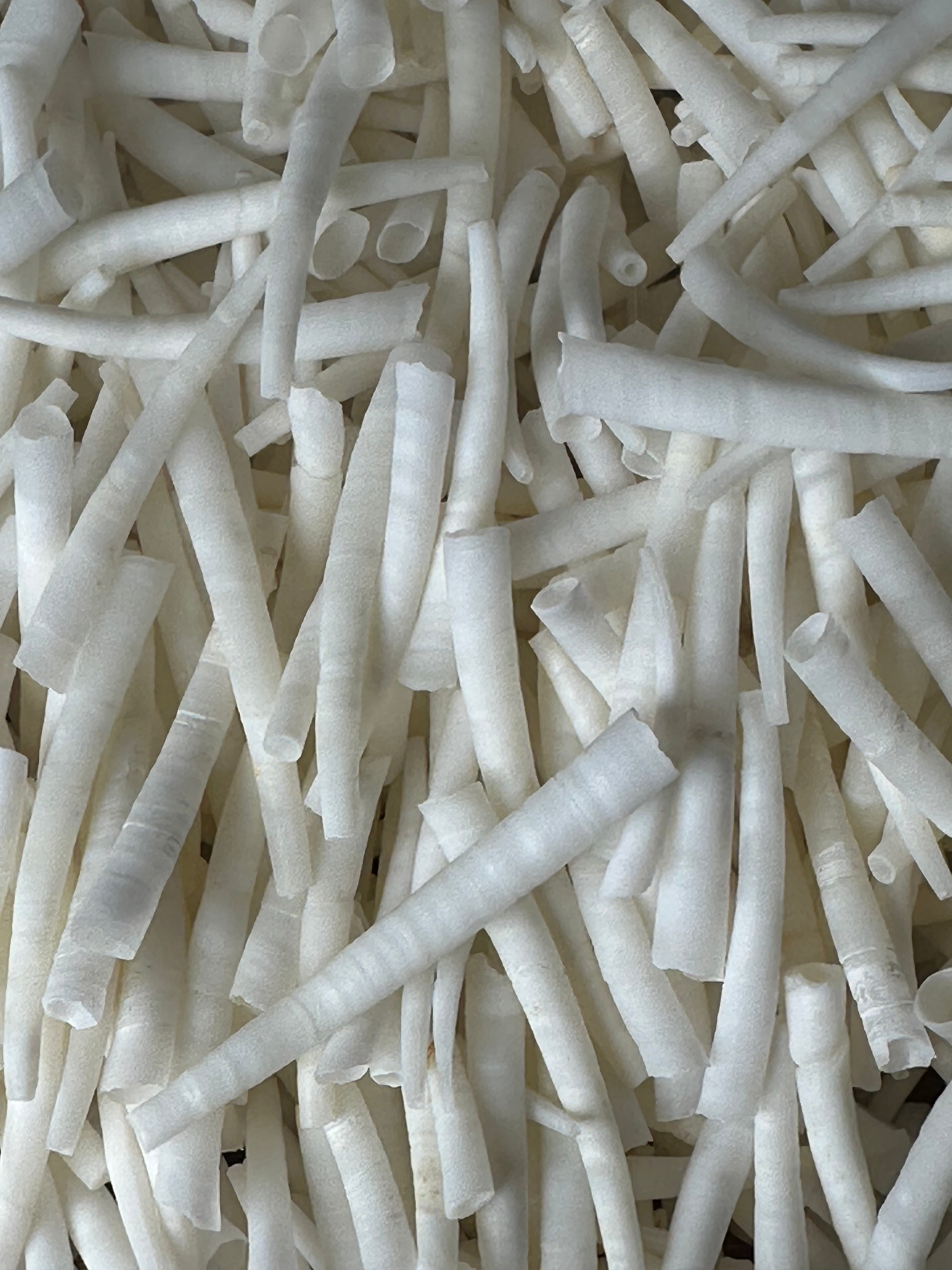 Dentalium Smooth Clean 1 Kilo