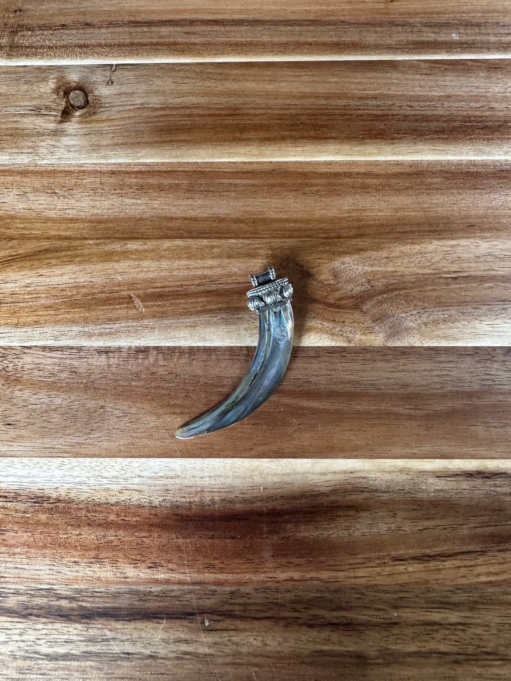 Abalone Tusk Pendant (1PC)