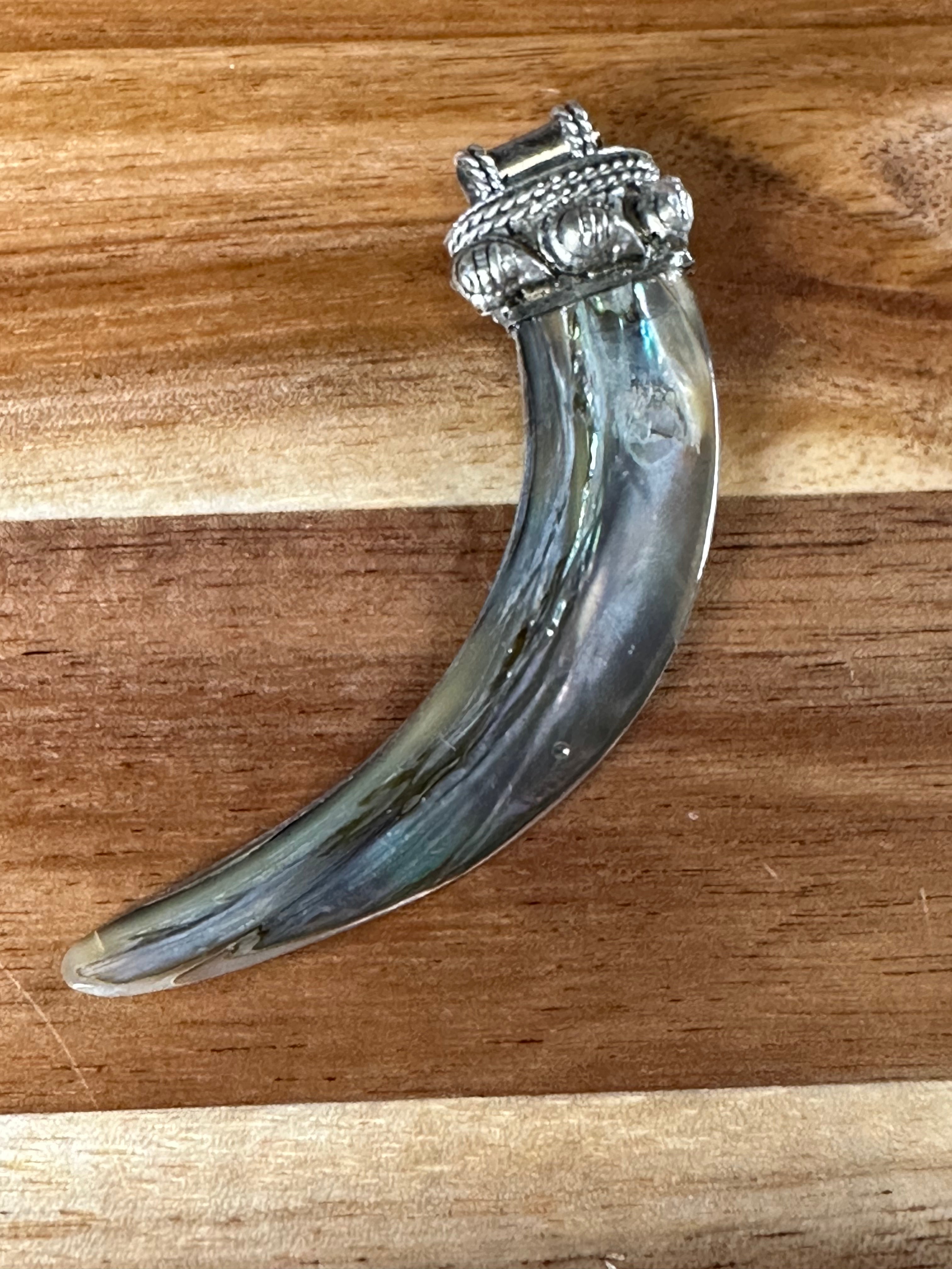 Abalone Tusk Pendant (1PC)