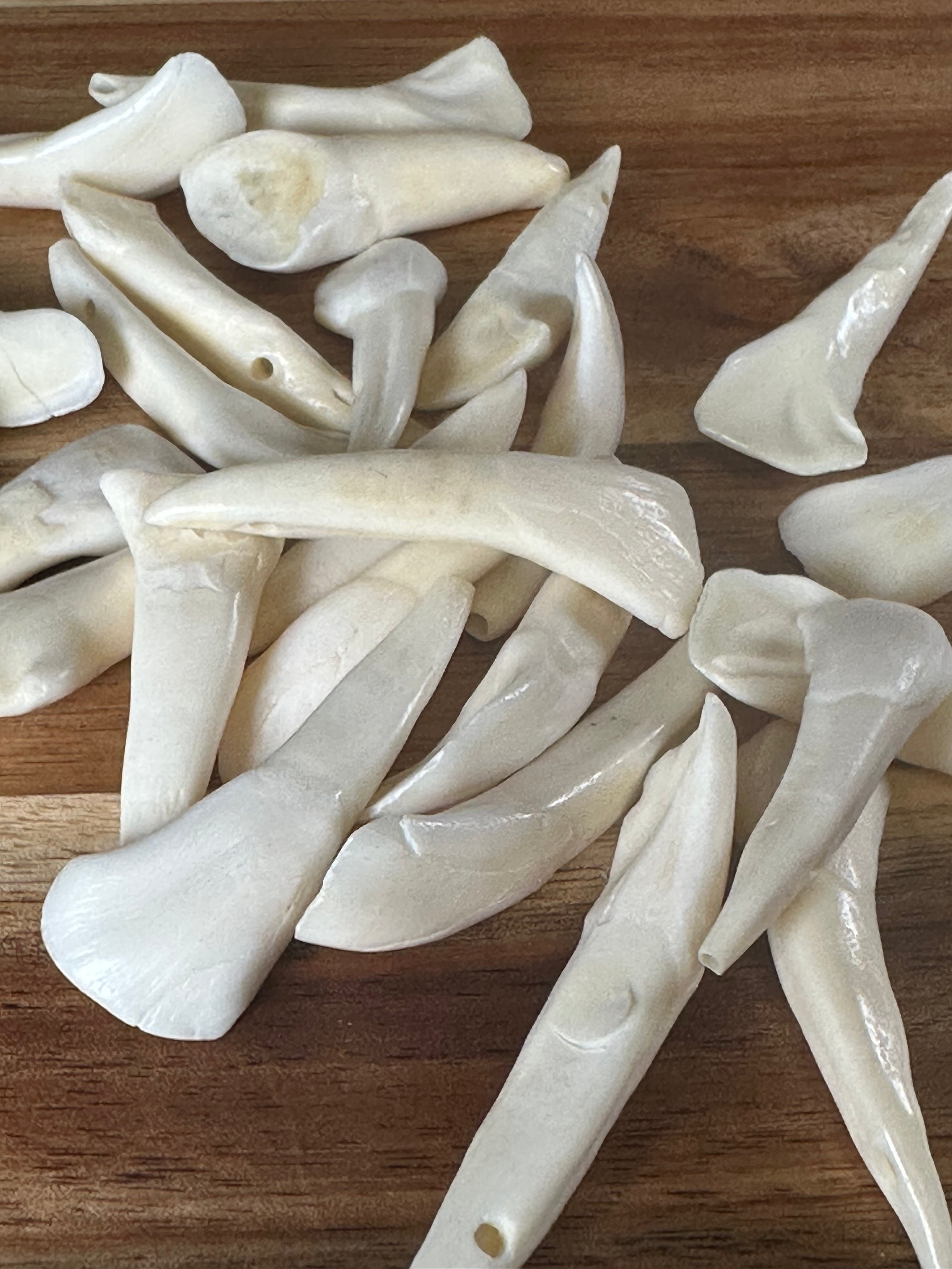 Mini Buffalo Teeth (25 Pack)