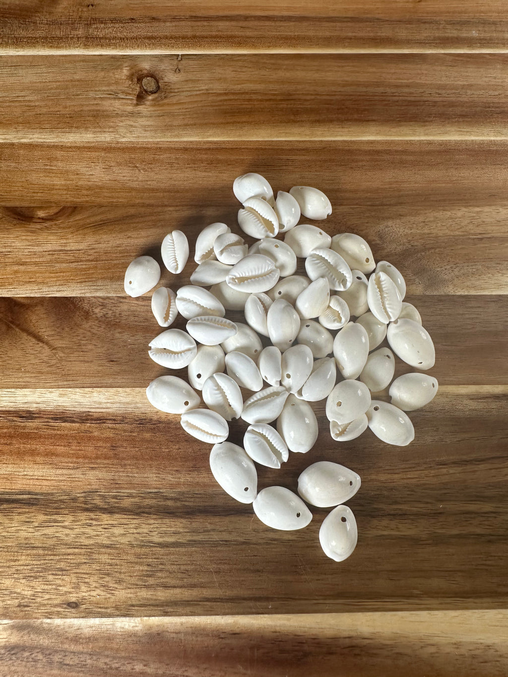 Bleached Cowrie Shell 250G