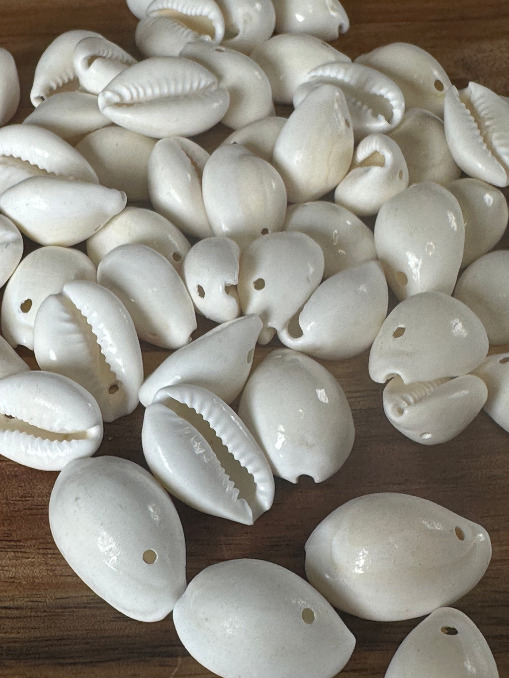 Bleached Cowrie Shell 250G