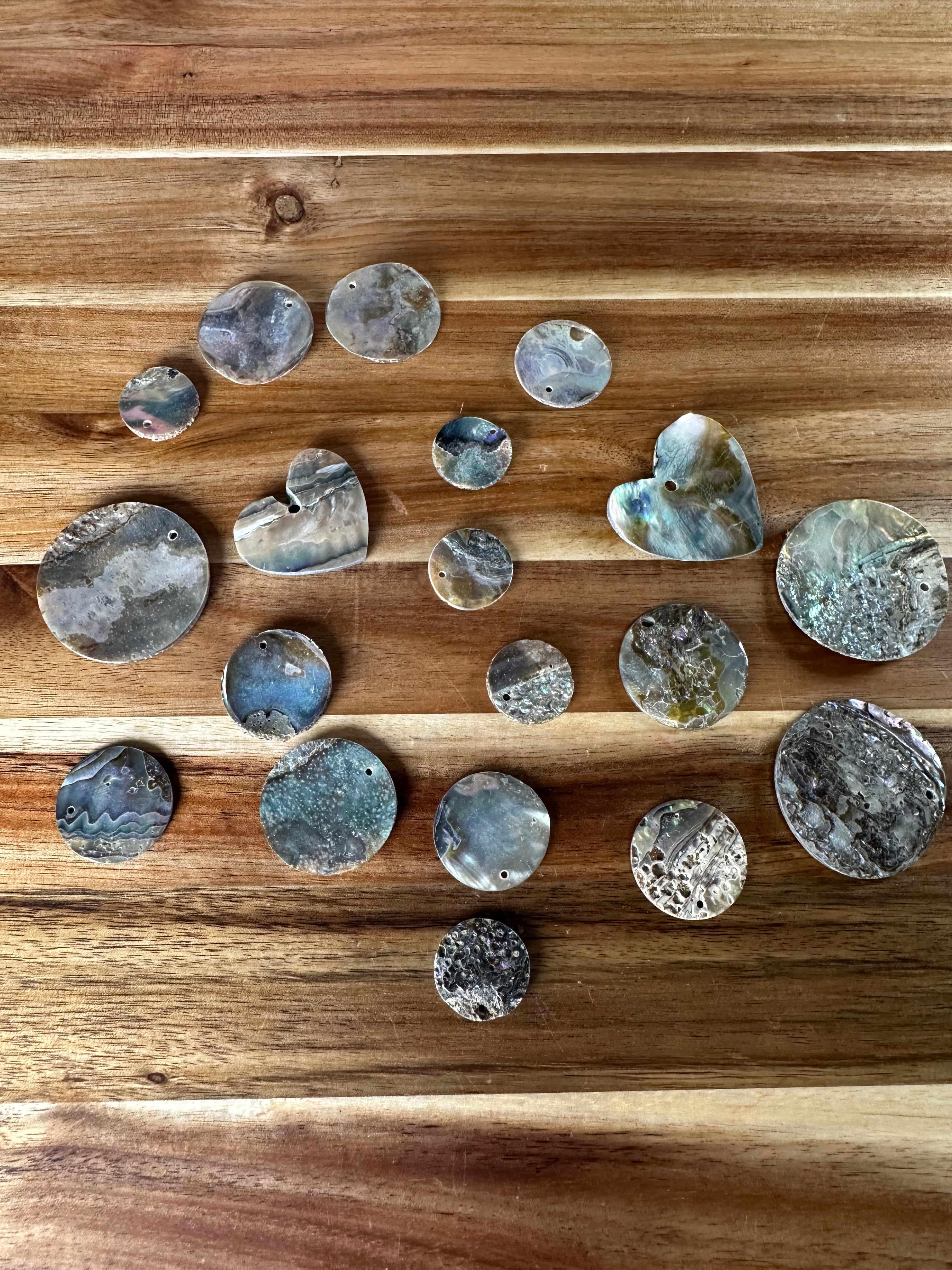 Abalone Conch Mix Pieces (1PC) .5"-1.5"