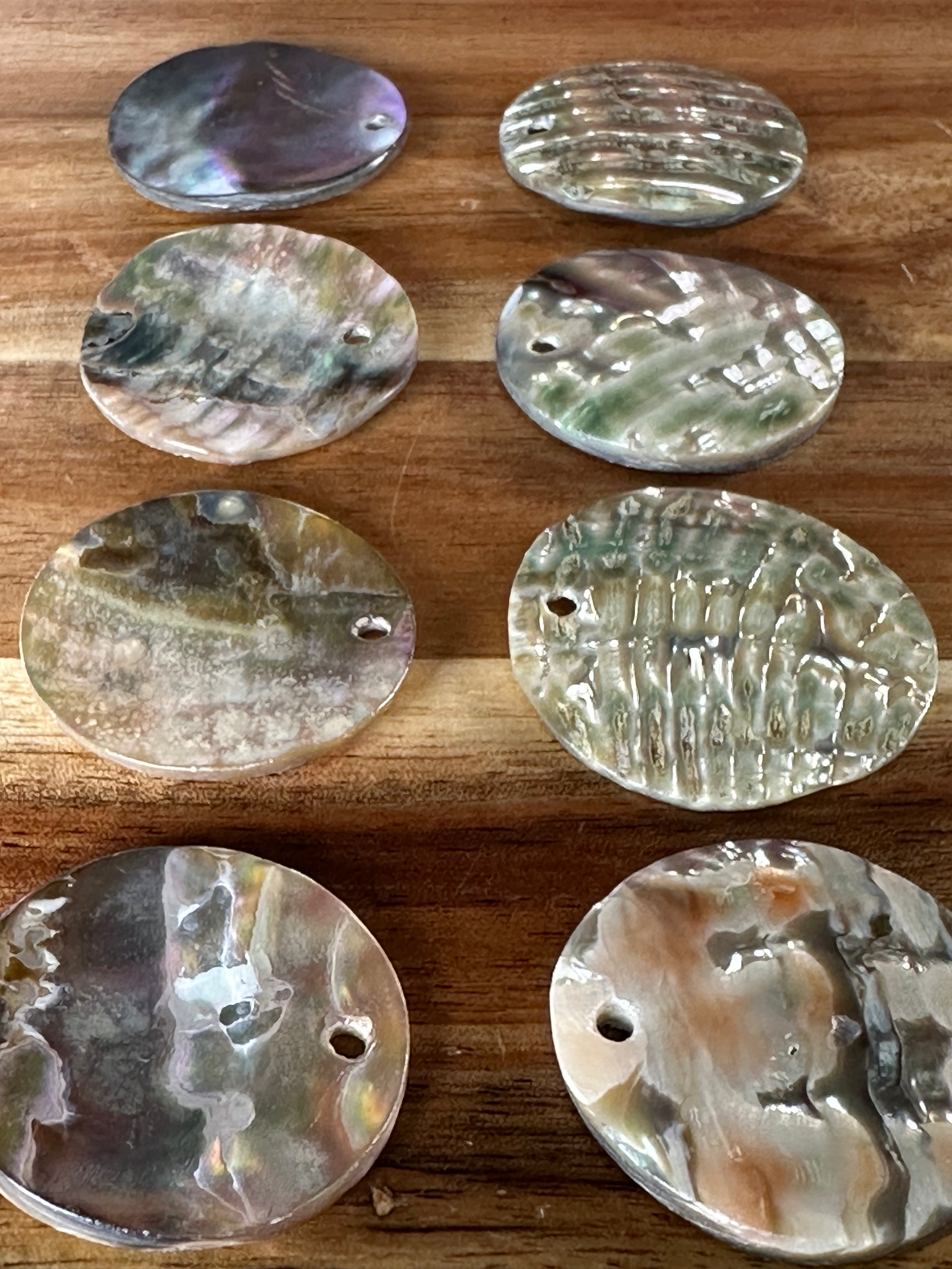 Abalone Conch 1 3/16” (1 Hole/1 Piece)