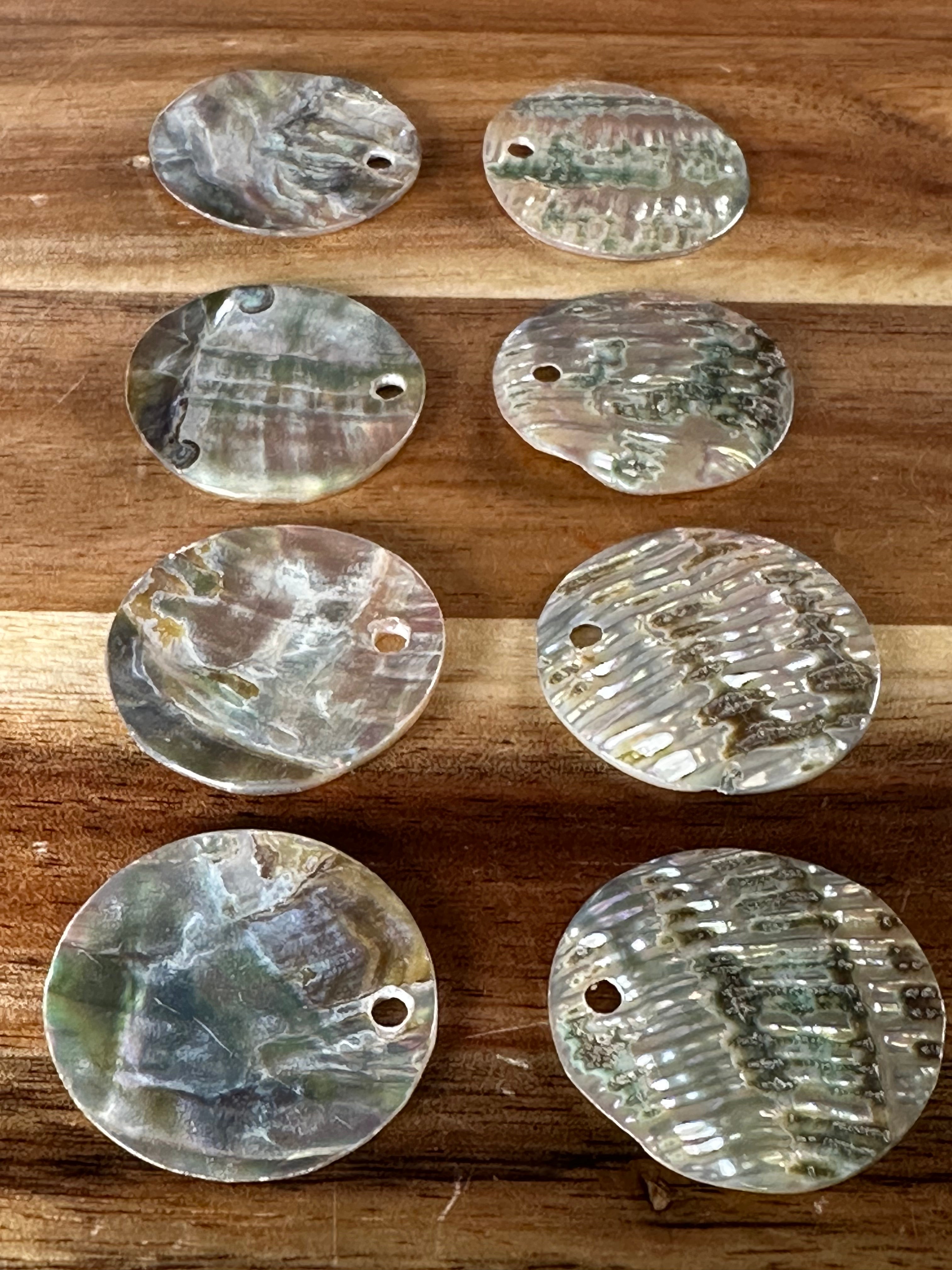 Abalone Conch 1” (1 Hole/ 1 Piece)