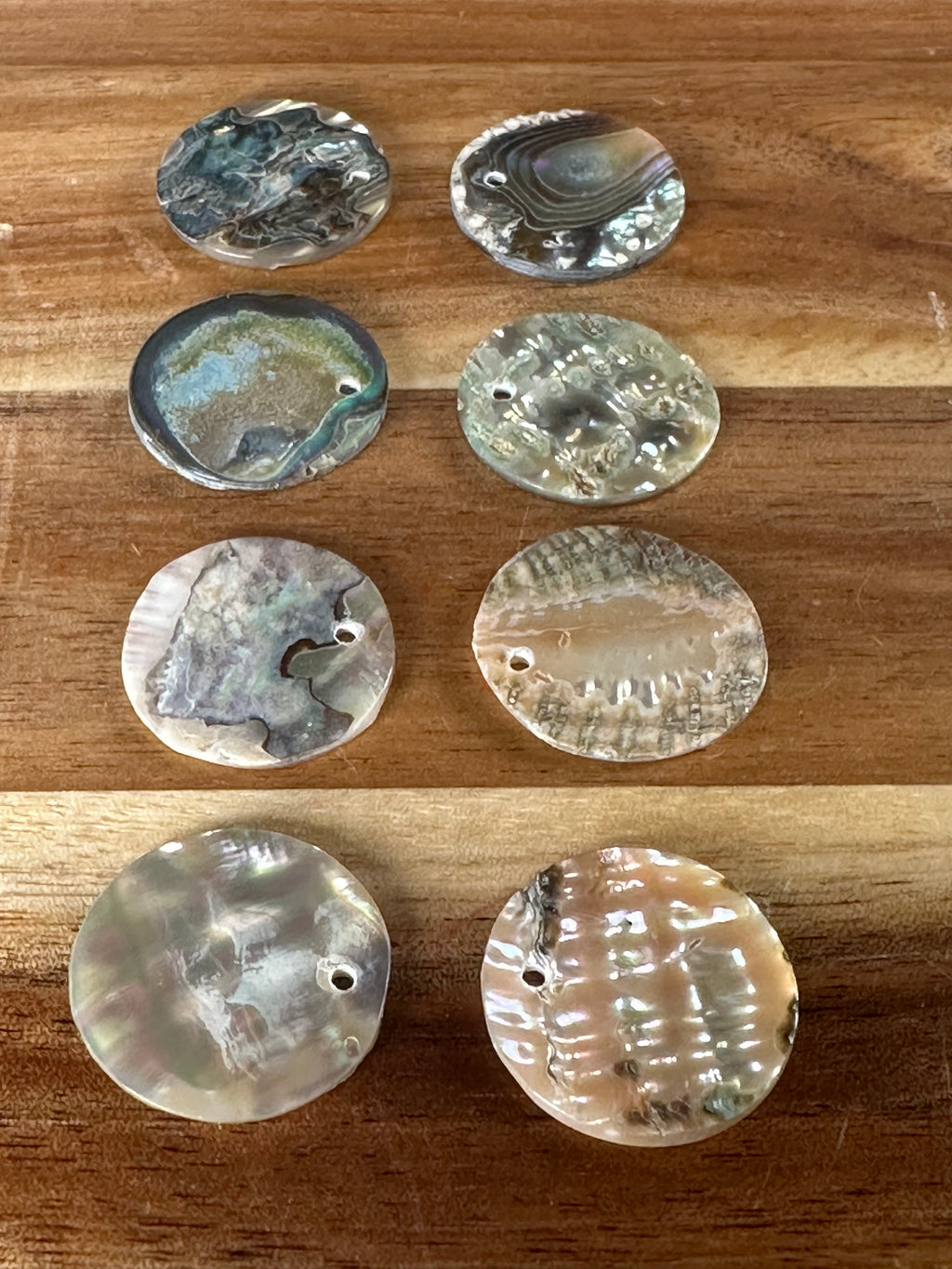 Abalone Conch 7/8” (1 Hole/ 1 Piece)