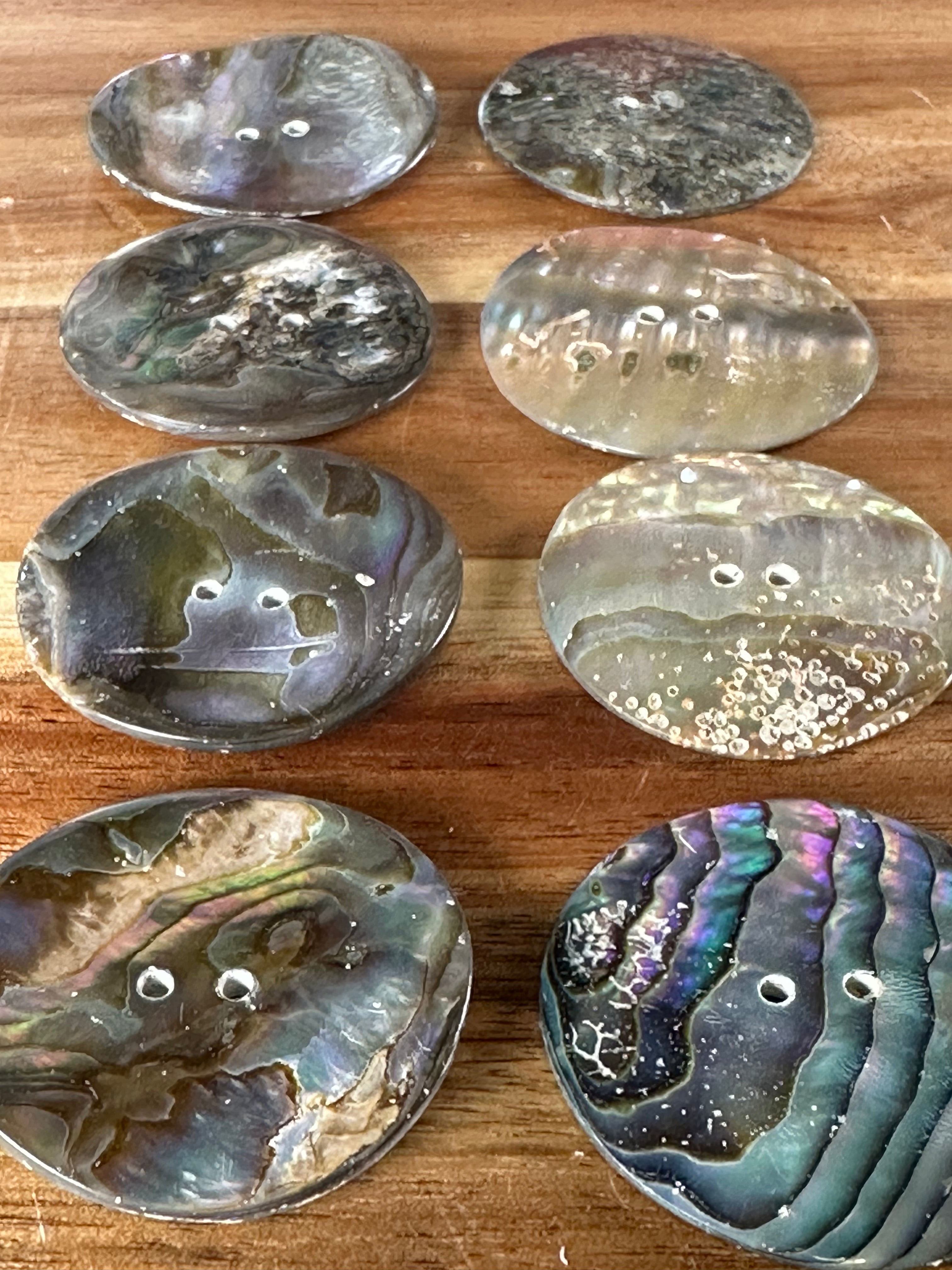 Abalone Conch Button 1 3/8” (1 Piece)