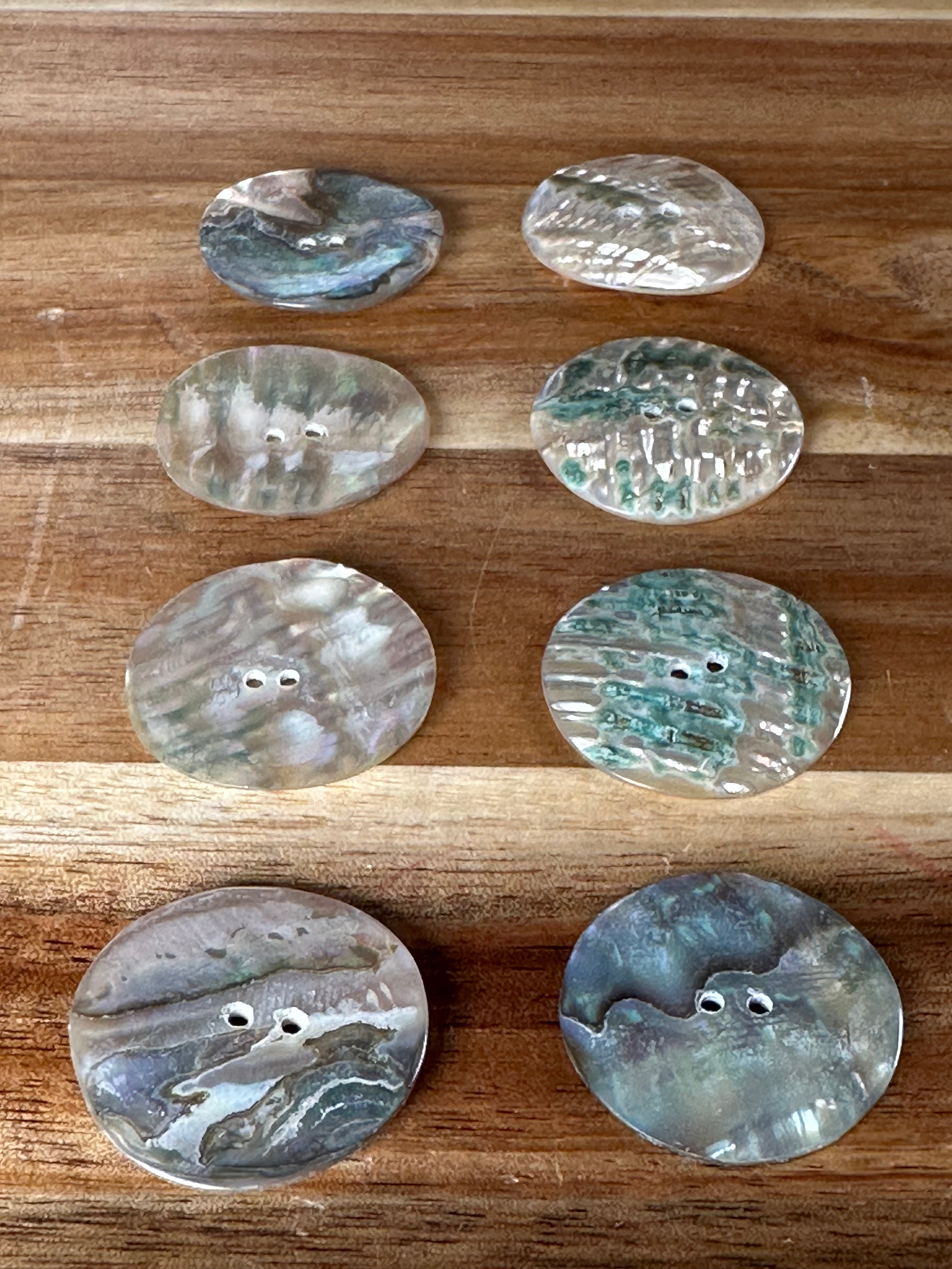 Abalone Conch Button 1” (1 Piece)