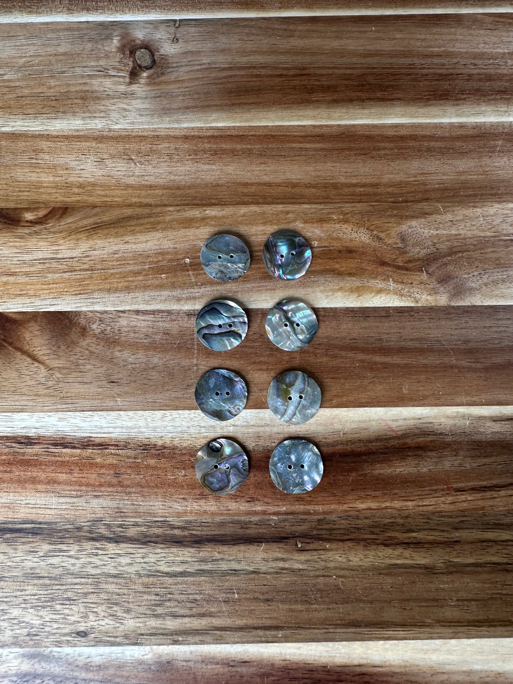 Abalone Conch Button 7/8” (1 Piece)