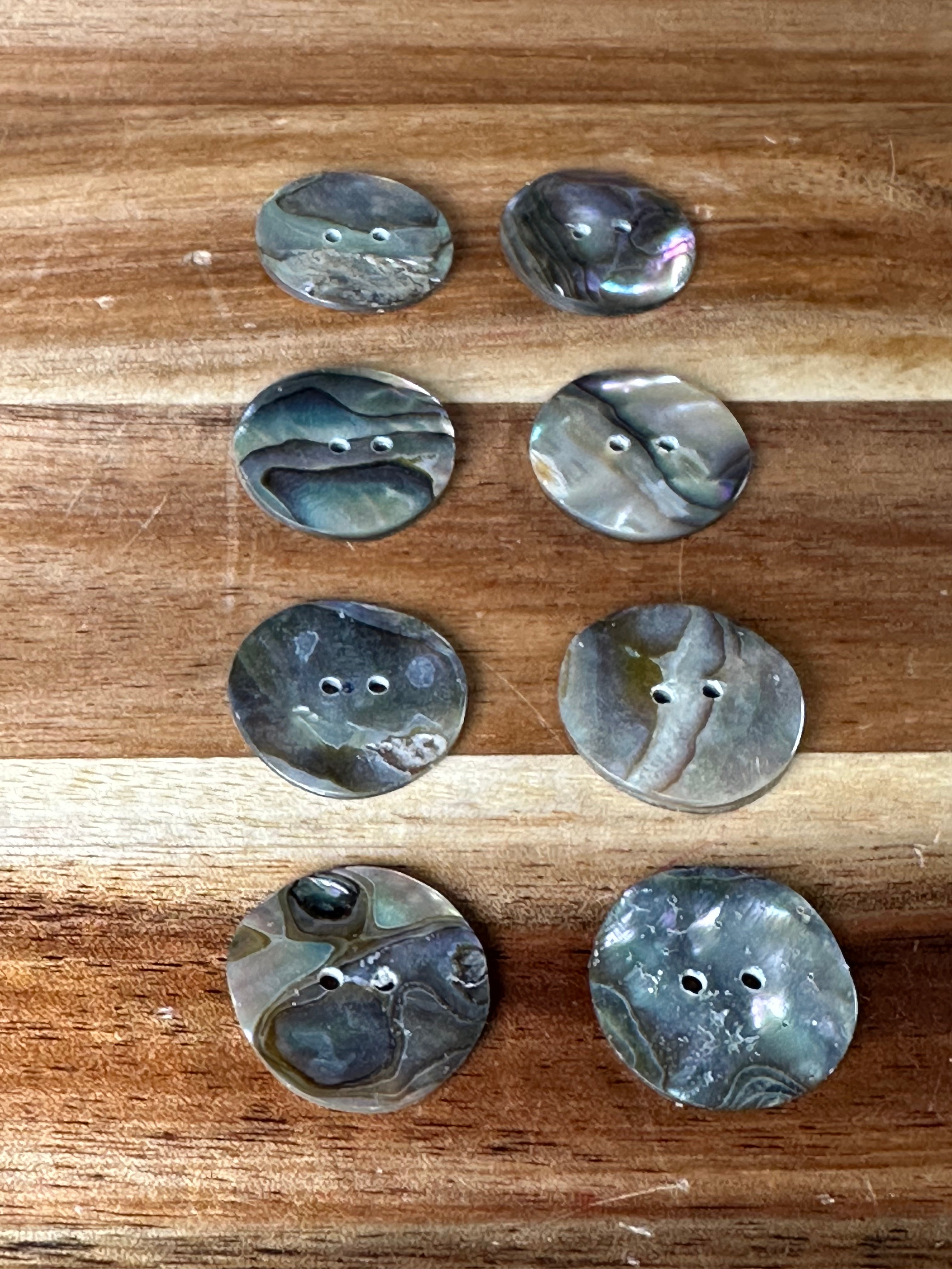 Abalone Conch Button 7/8” (1 Piece)