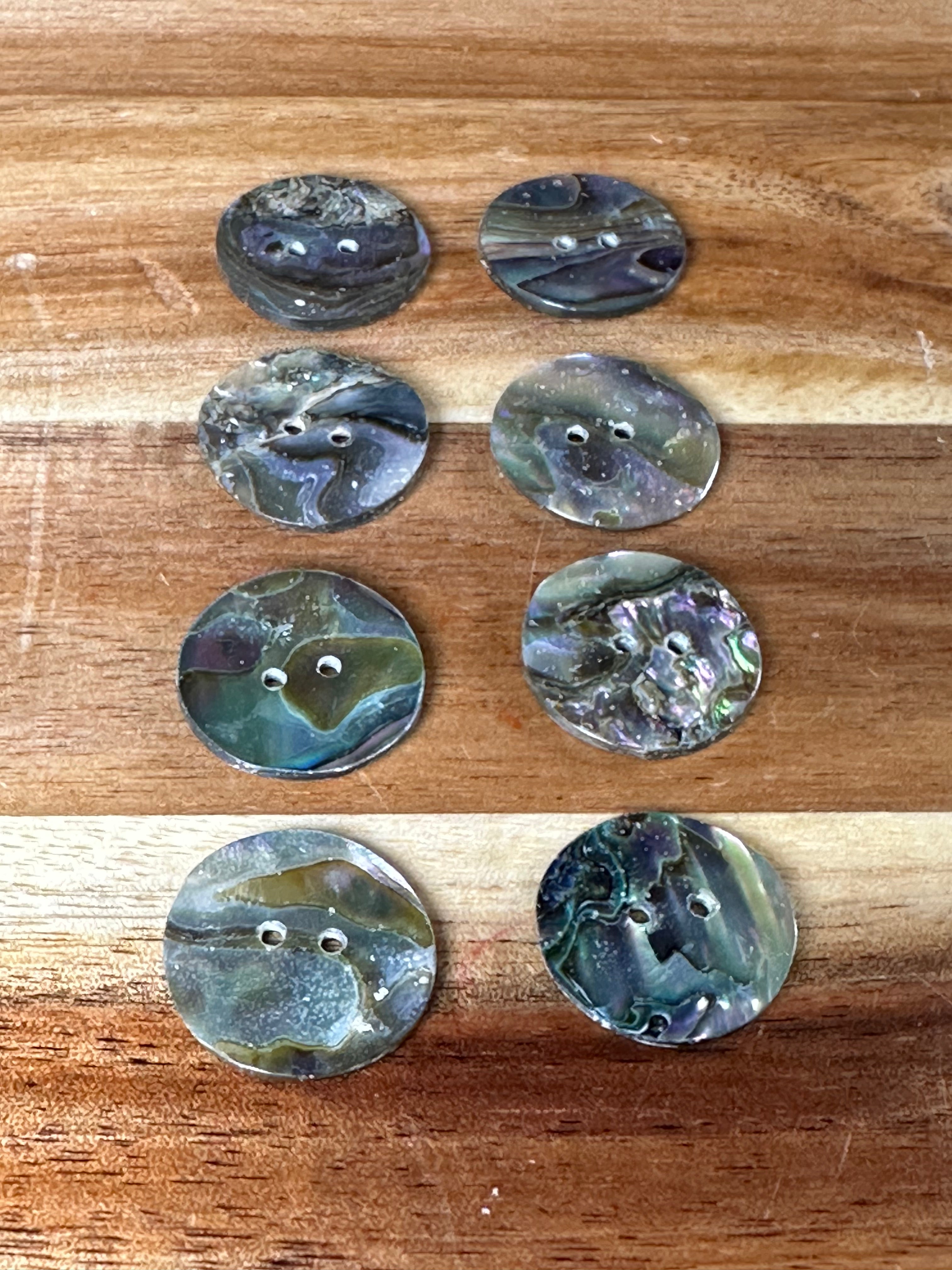 Abalone Conch Button 3/4” (1 Piece)