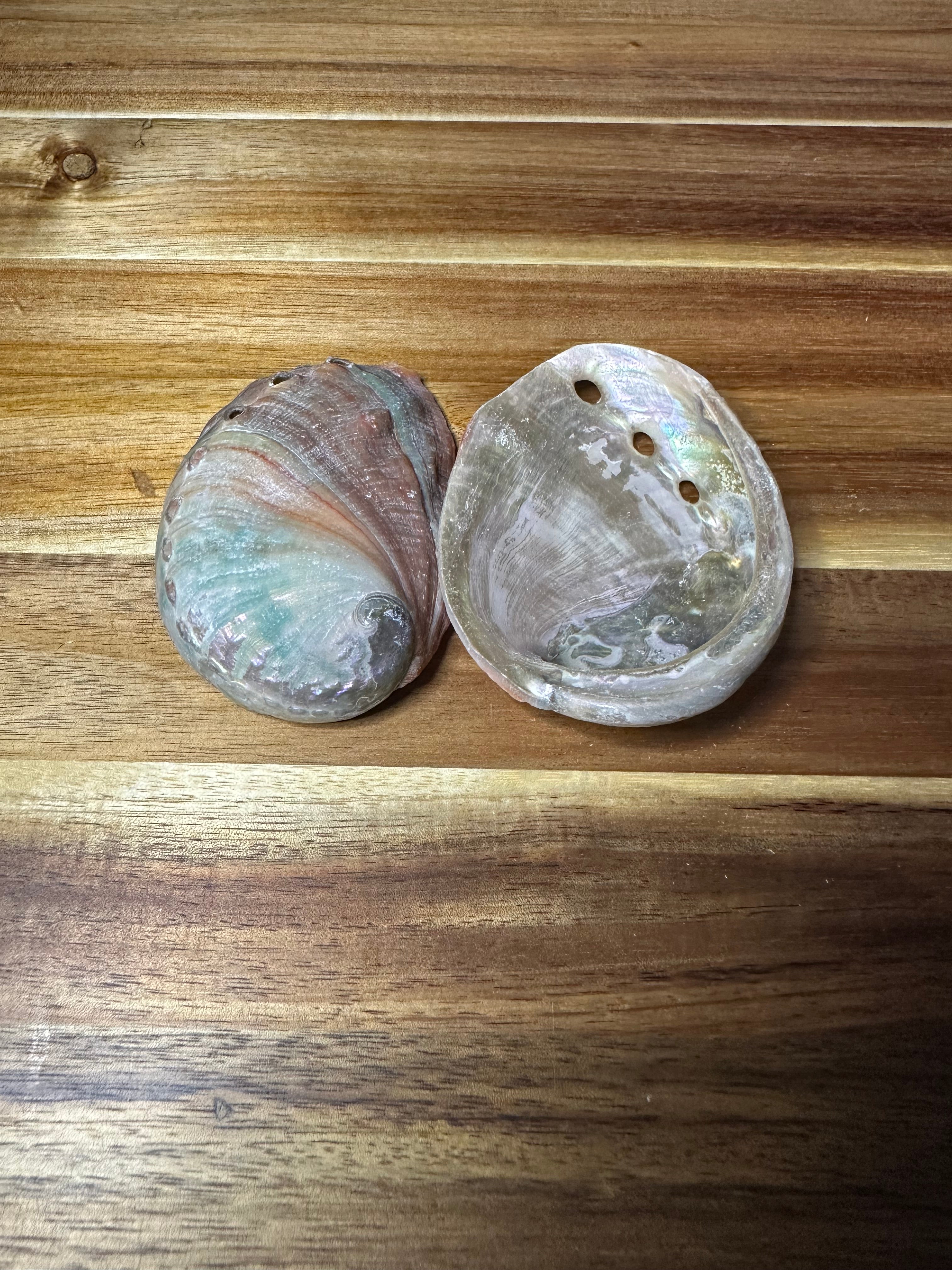 Abalone Shell Red 2-3"