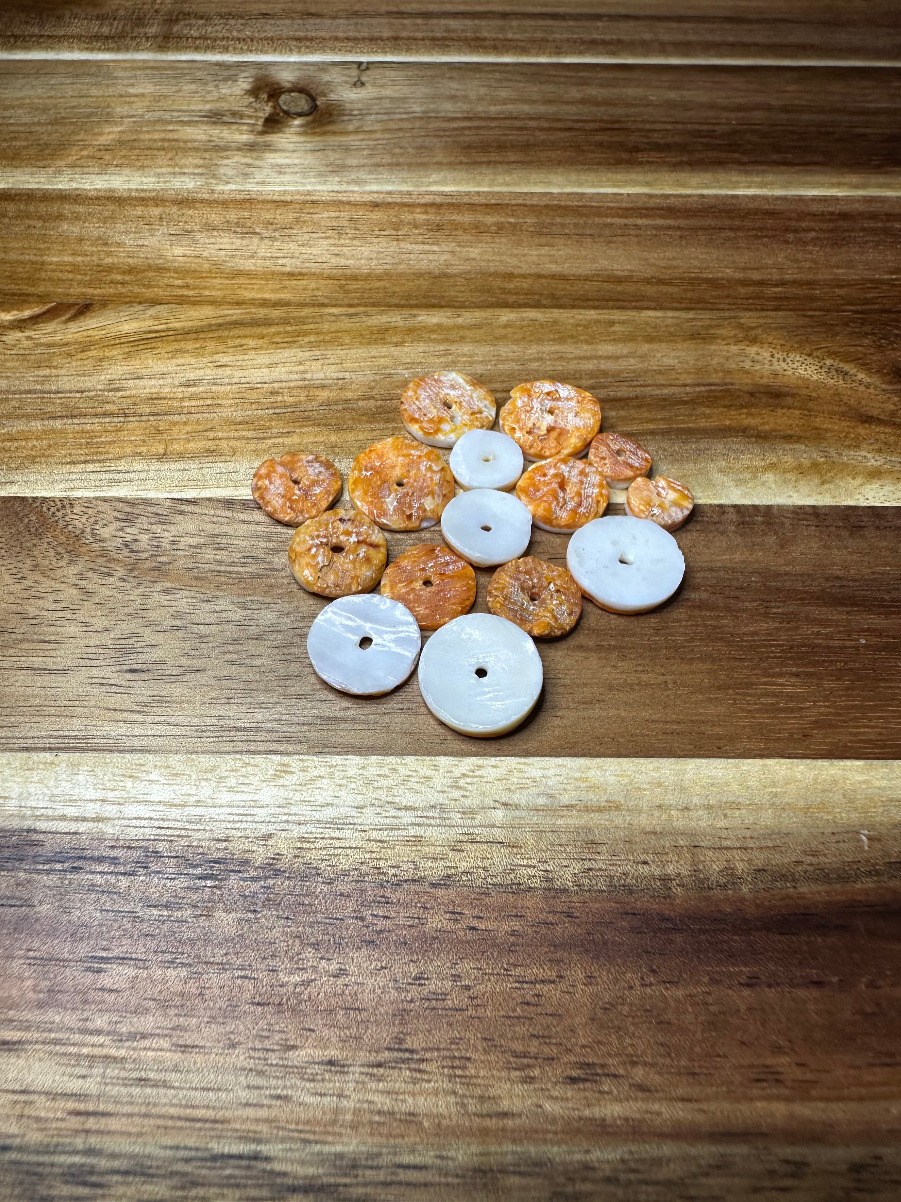 Spiny Oyster Shell 1/4"-1/2"Conches 15 pc