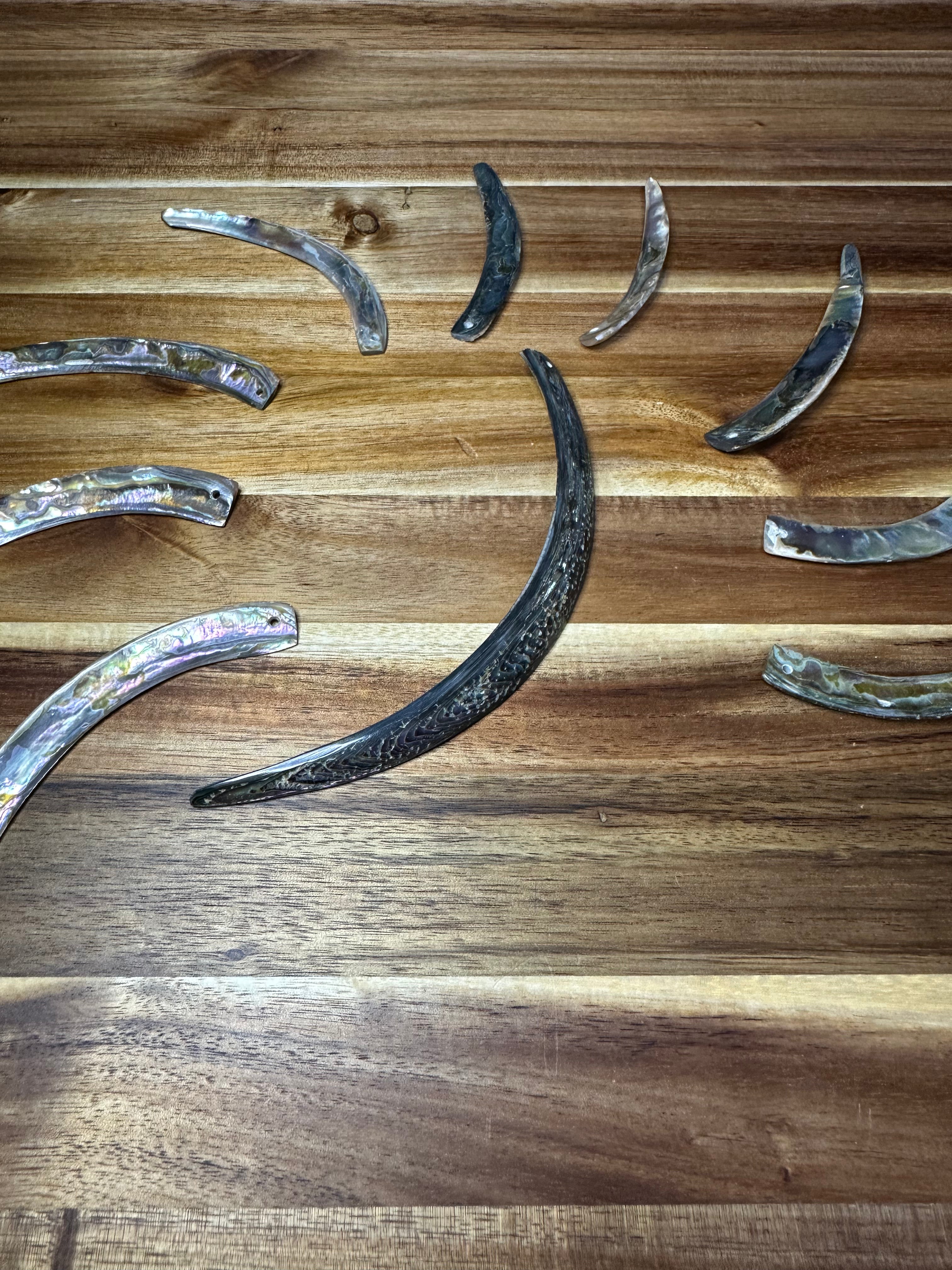 Green Abalone Tusks Drilled One Hole 5-8" (1PC)