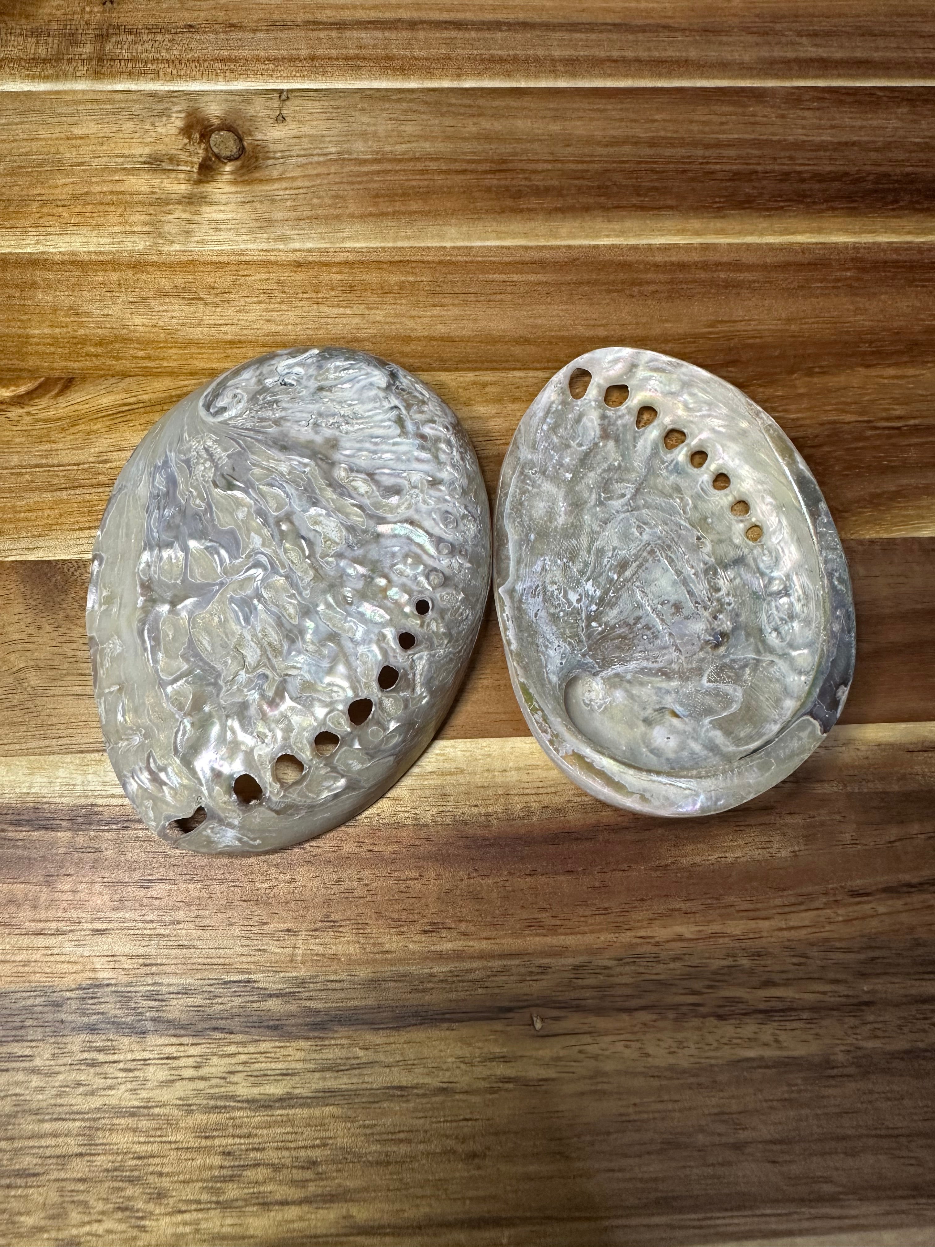 Mother of Pearl Abalone Shell White 3-4"