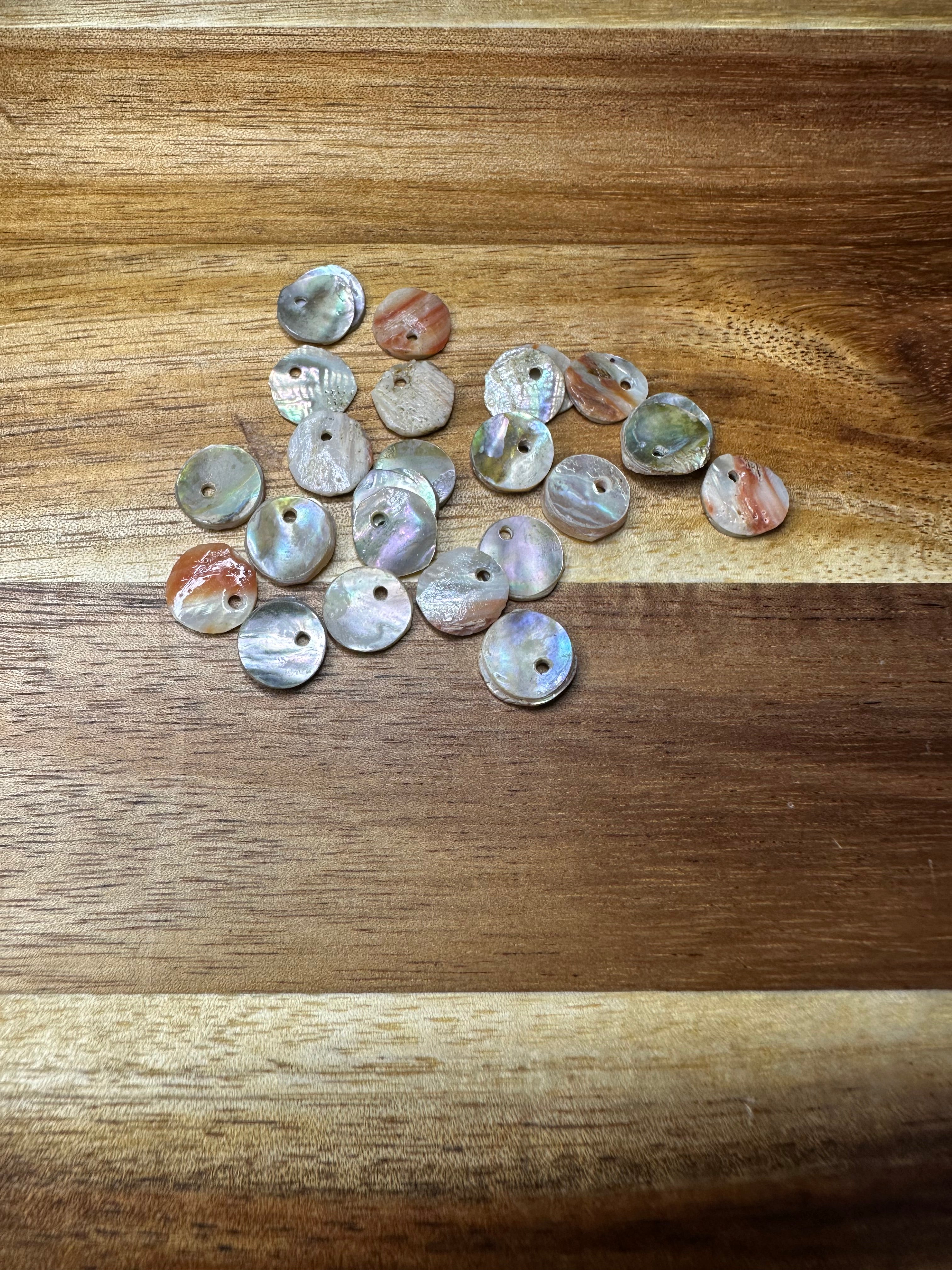 Red Abalone Conches 1/4" 25PC