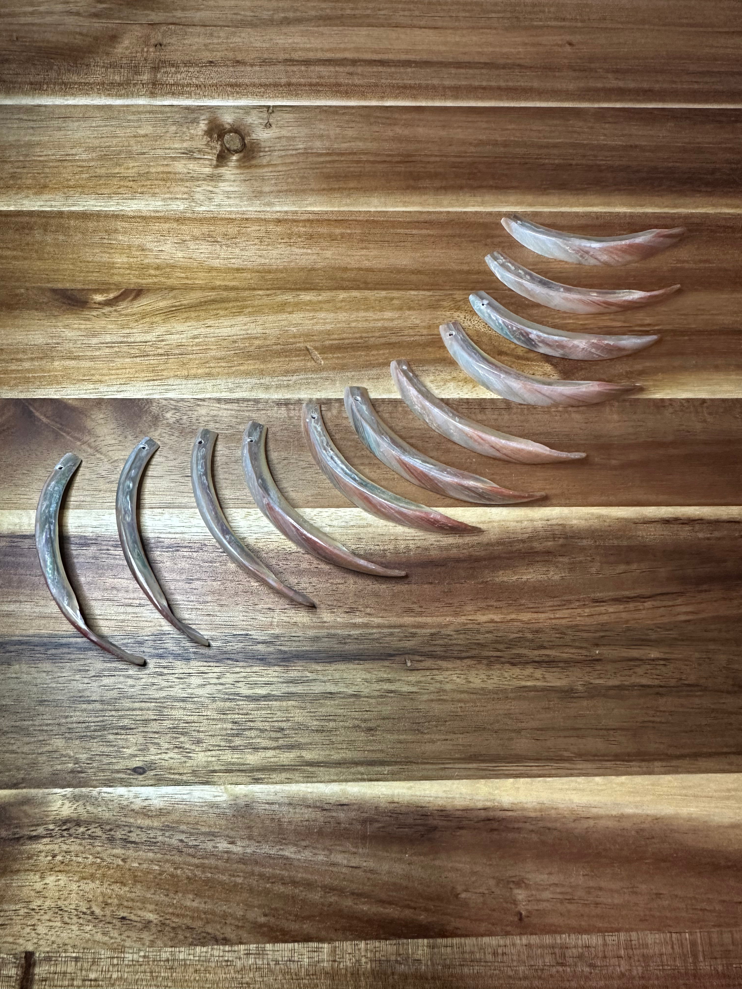 Red Abalone Tusks Drilled One Hole 2-4" (1PC)